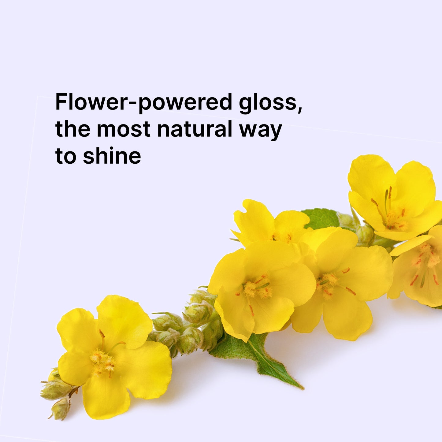 Extra Mist-ical Shine Spray + ~ FREE Silver Puffer Bag ($20 Value)