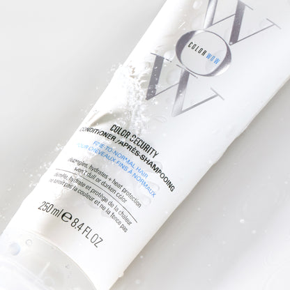 Color Security Conditioner ~ (For Fine To Normal Hair)