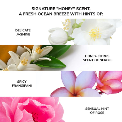 Money Laundering Hydrating Shampoo