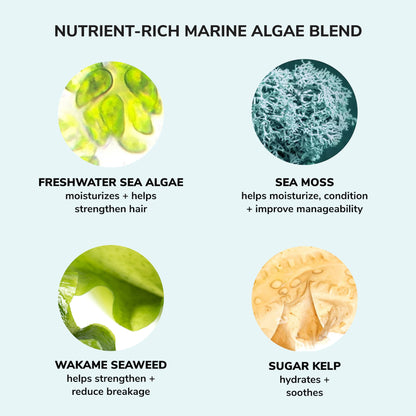 Money Laundering Hydrating Shampoo